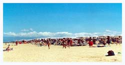 Colamaio (7)
