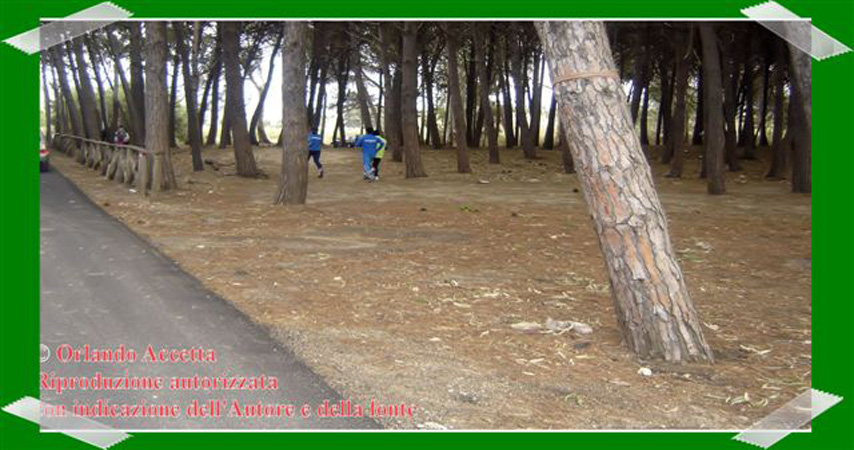 Pineta Colamaio (2)