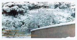 Pizzo sotto la Neve 1999 (11)