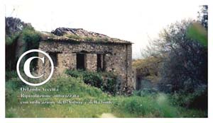 Pime-Casale di Rocca Angitola (24)