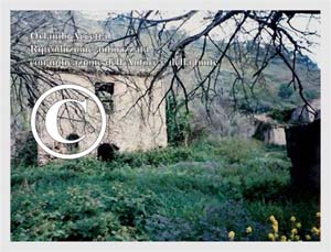 Pime-Casale di Rocca Angitola (31)