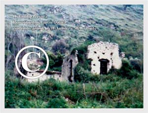 Pime-Casale di Rocca Angitola (32)