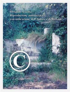 Pime-Casale di Rocca Angitola (39)