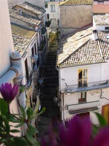 Via Bardari (0)