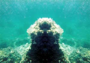 Foto Riflesse (104)