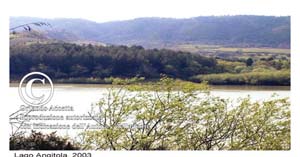 Lago Angitola (28)