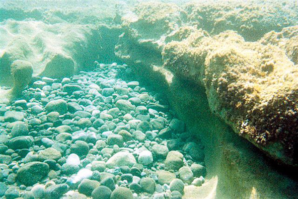 Subacquee Sett 2002 (19)