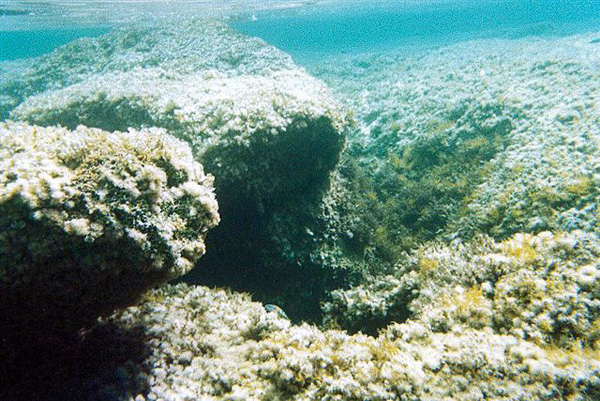 Subacquee Sett 2002 (27)