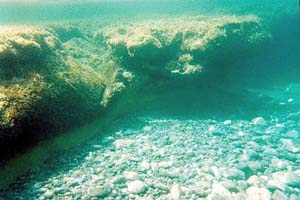 Subacquee Sett 2002 (14)