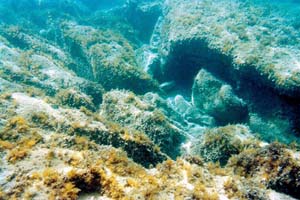 Subacquee Sett 2002 (20)