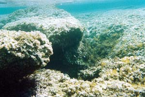 Subacquee Sett 2002 (27)