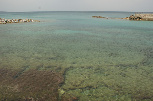 DSC05086