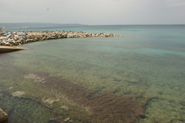 DSC05088