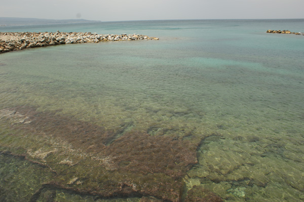 DSC05089