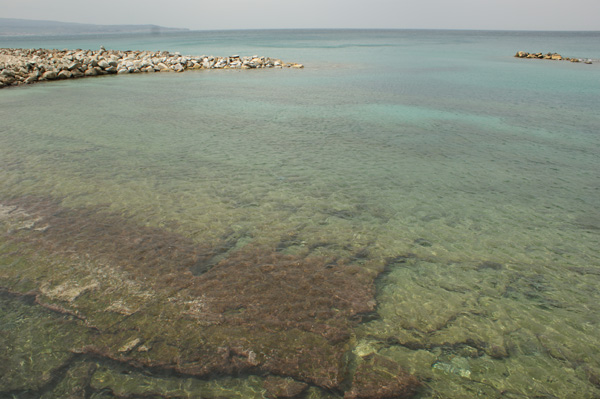 DSC05090