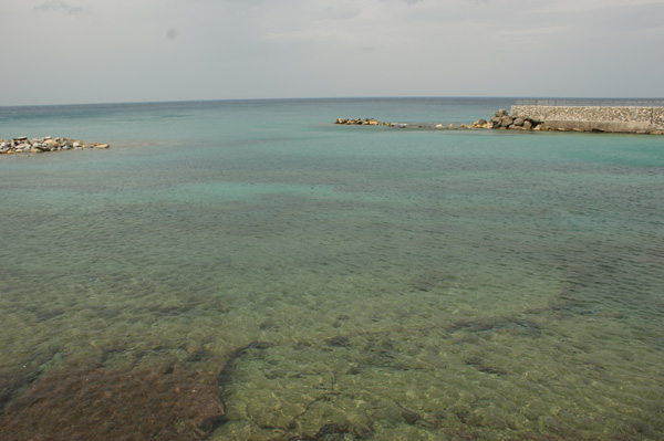 DSC05093