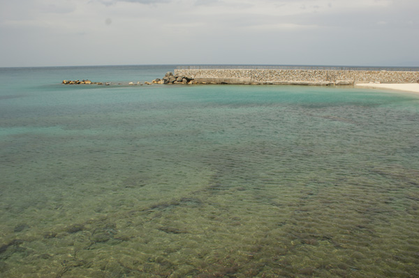 DSC05094