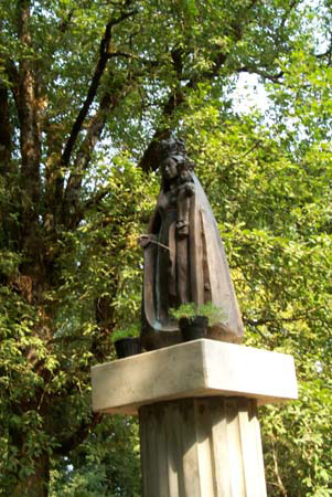 P0002315