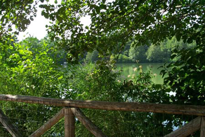 P0002343