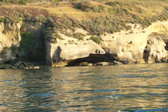 P0001995