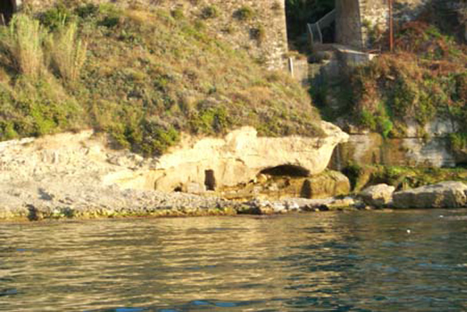 P0002009
