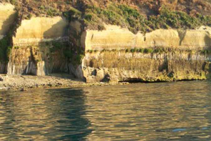 P0002011
