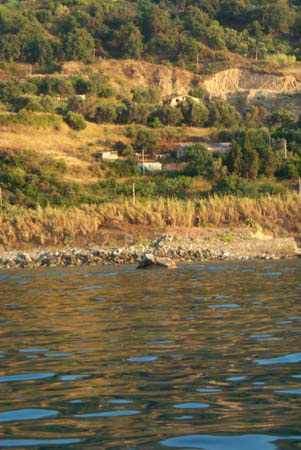 P0002044