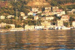 P0002061