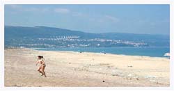Colamaio (3)