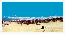 Colamaio (9)